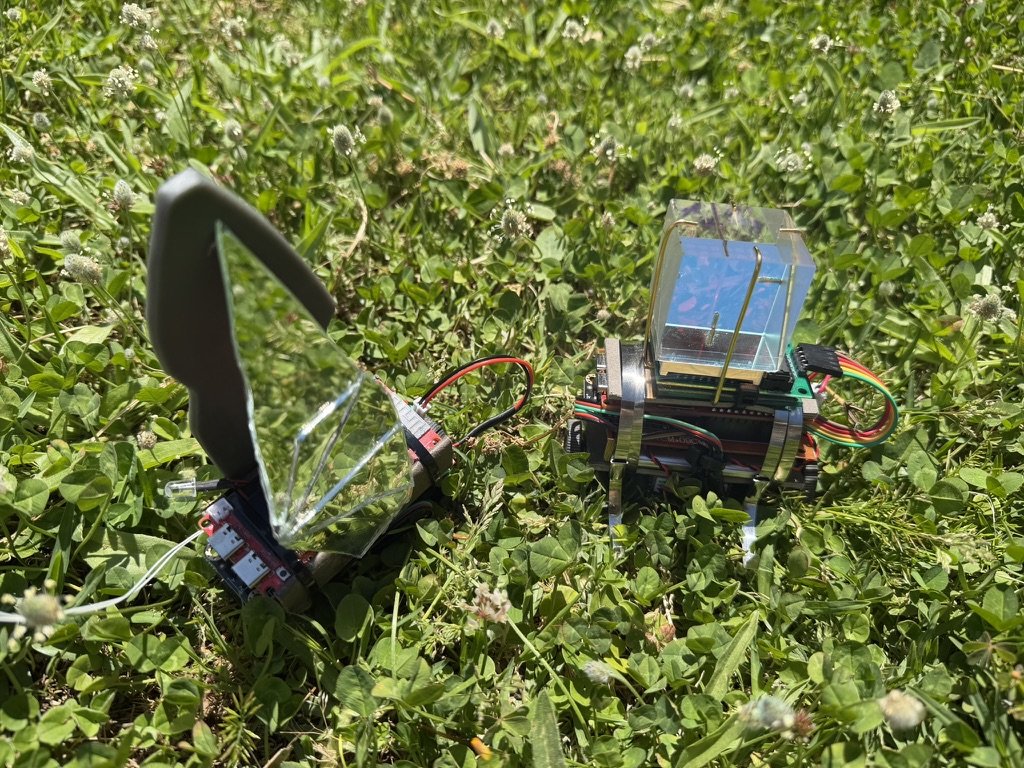 Two Love Robots resting in grass