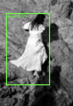 Ethnographic AI